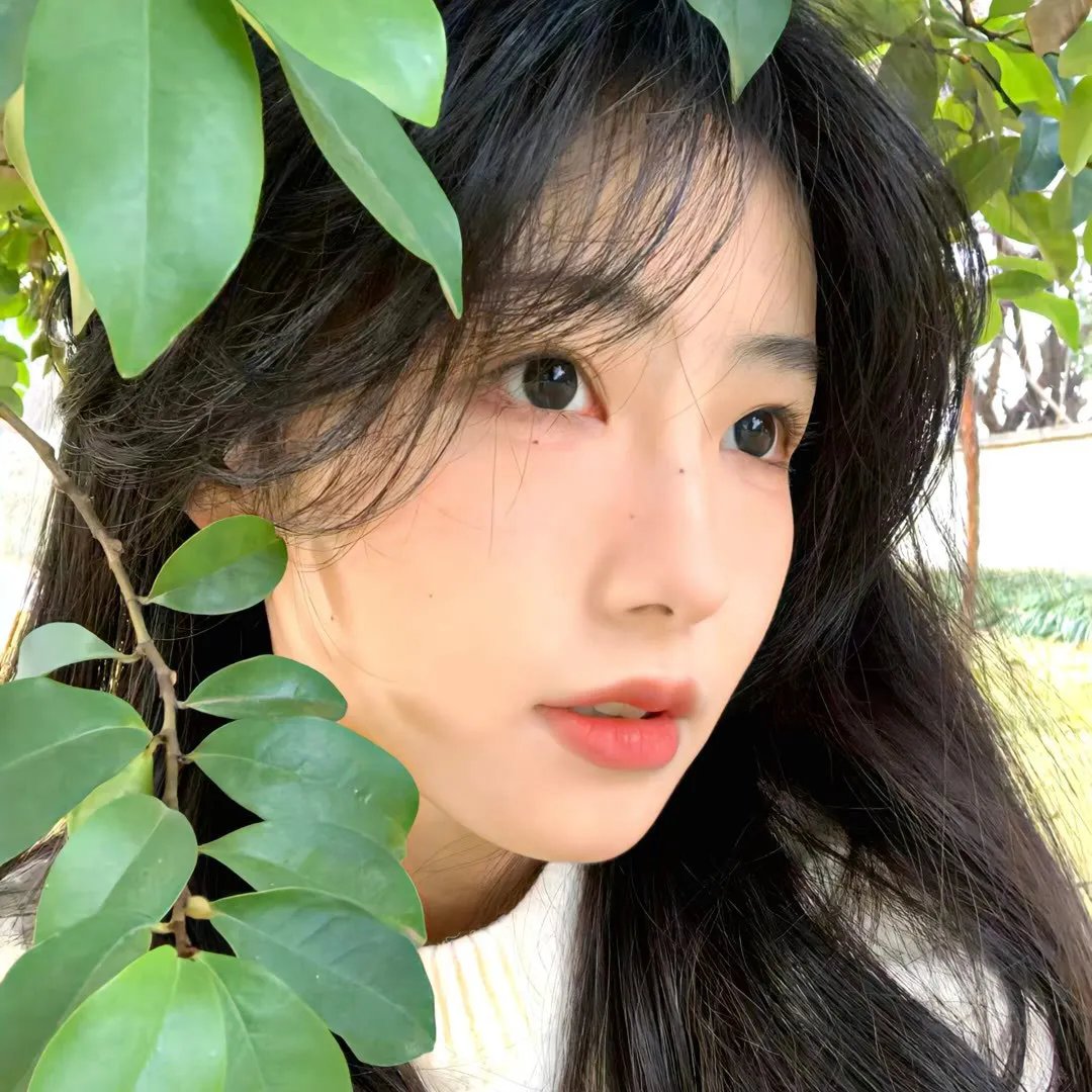老妇与鸽子
